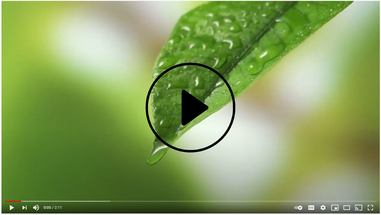 Hydro Video